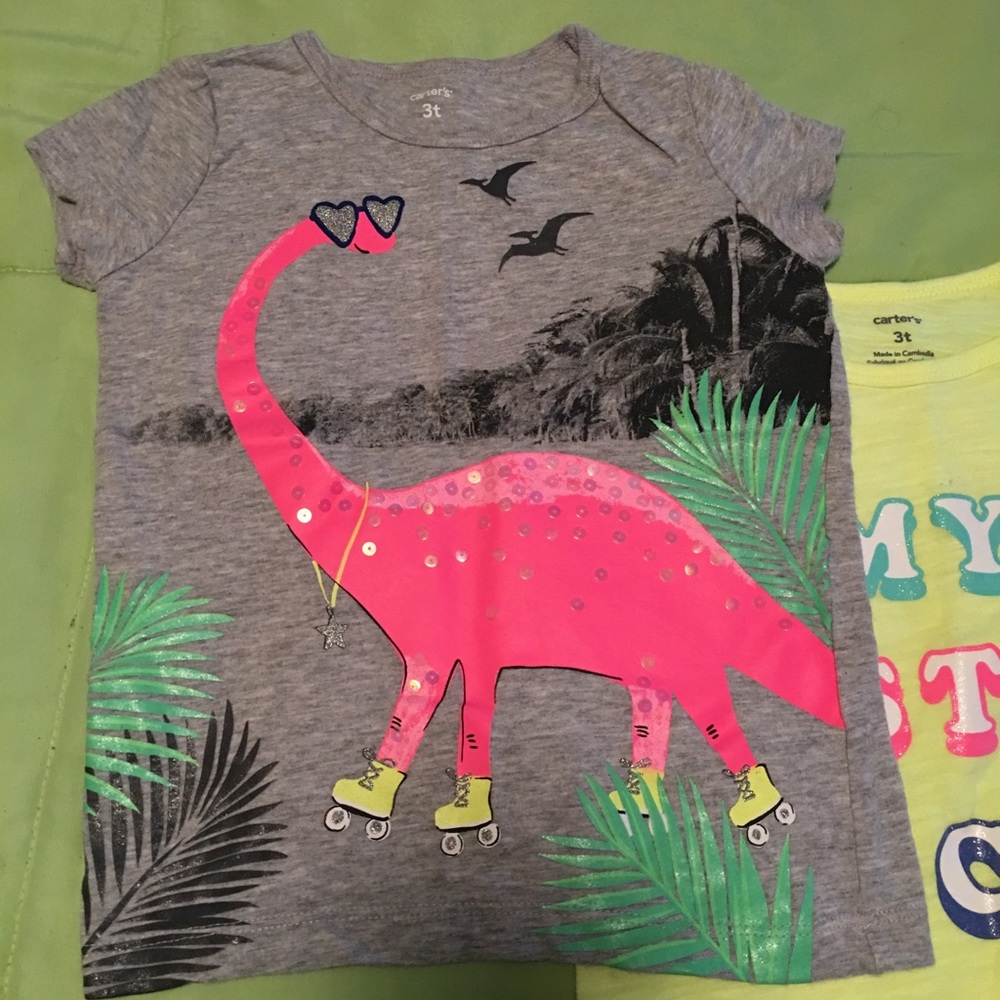2 Carter's T-shirts size 3t